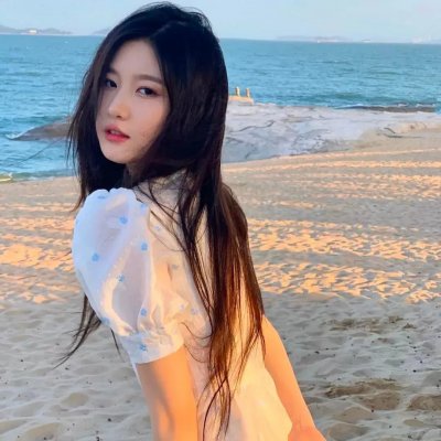 猫和老鼠：间谍使命